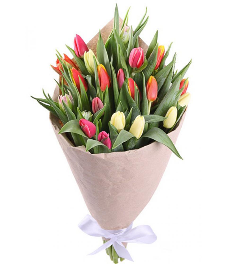 29 тюльпанов букет. Тюльпаны микс Tulipa Mix Голландия. Тюльпаны в букете "Голландия". Голландские 25 тюльпанов.