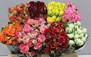 Срезанные цветы